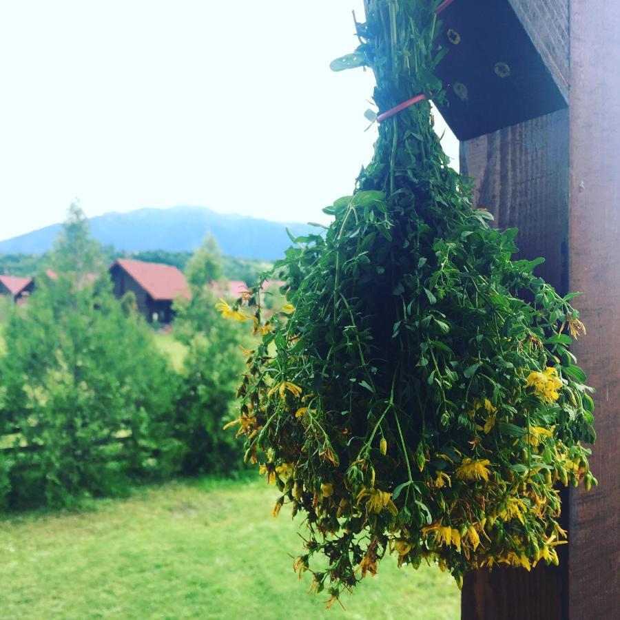 Bran White Clouds House And Chalet Екстер'єр фото