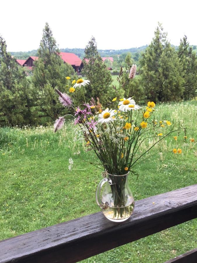 Bran White Clouds House And Chalet Екстер'єр фото
