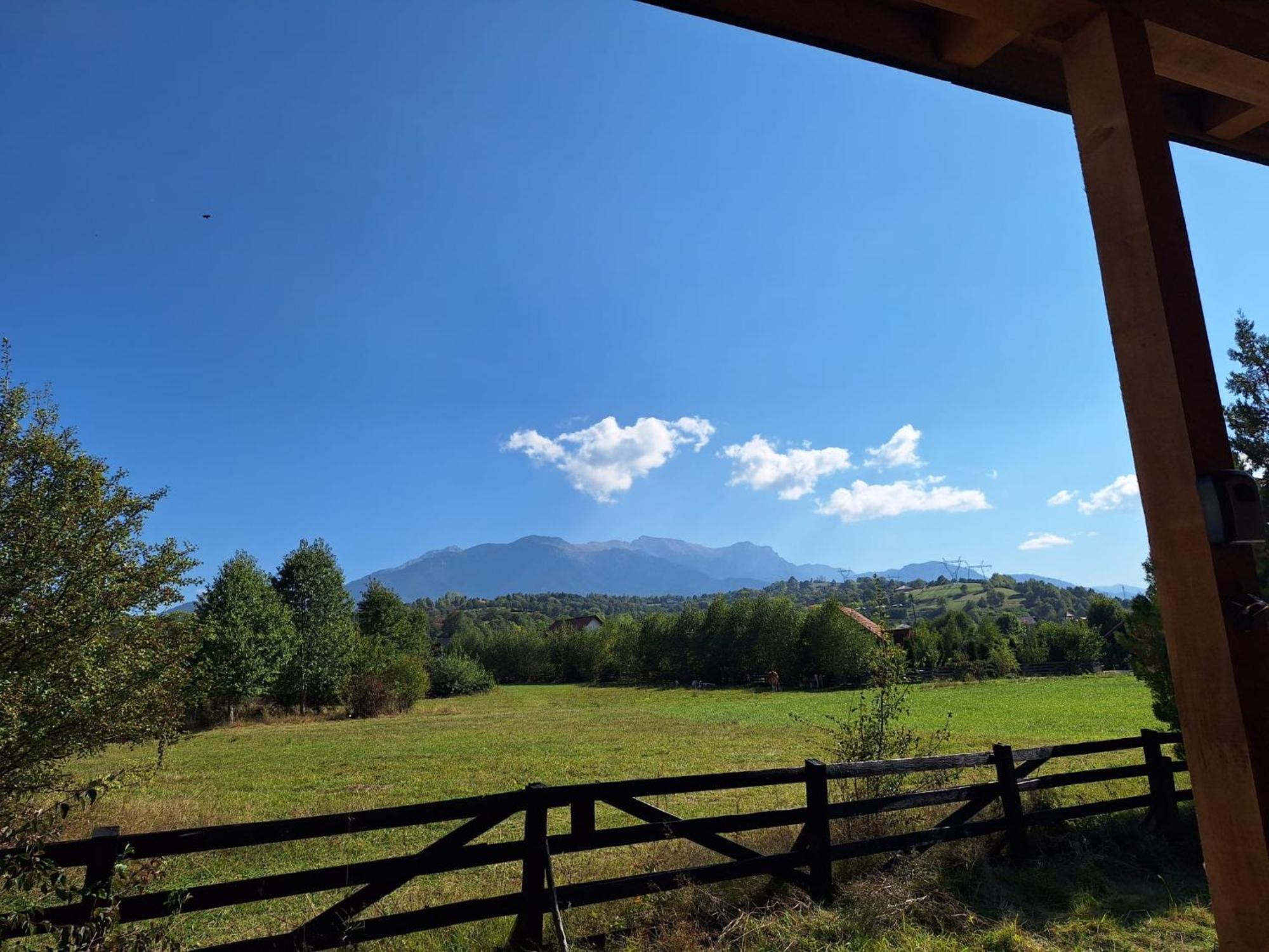 Bran White Clouds House And Chalet Екстер'єр фото
