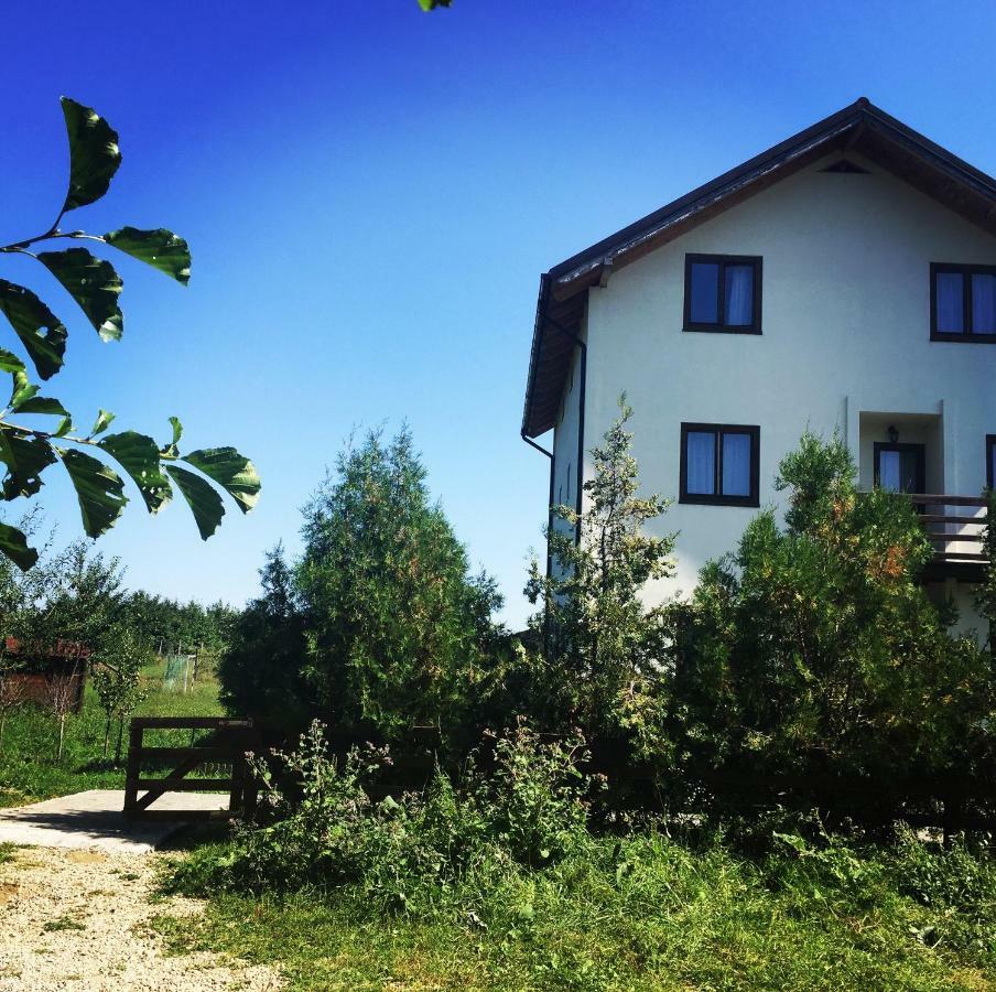 Bran White Clouds House And Chalet Екстер'єр фото