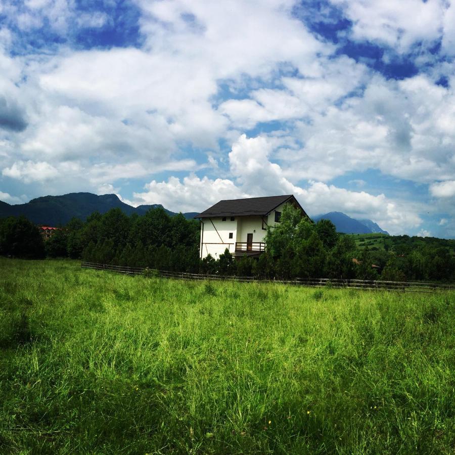 Bran White Clouds House And Chalet Екстер'єр фото